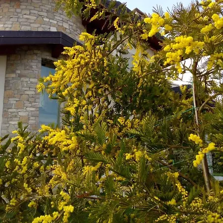 Bed & Breakfast Rosalu - Adults Only Sirmione