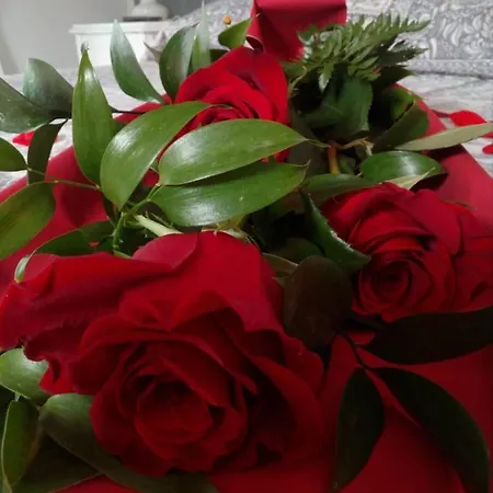 Rosalu - Adults Only Nocleg ze śniadaniem 3*