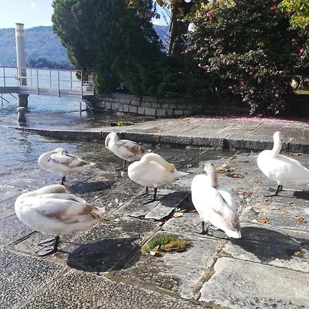 Rosalu - Adults Only Nocleg ze śniadaniem