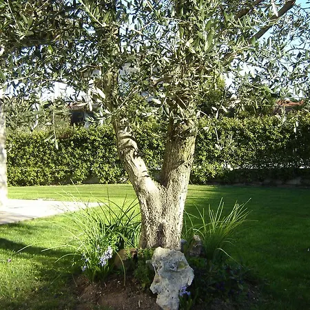 Bed & Breakfast Rosalu - Adults Only 3*